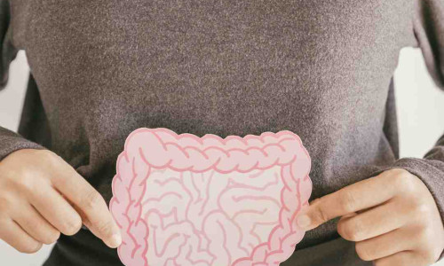 Črevesna mikrobiota: zakaj je ravnovesje bakterij ključno za zdravje