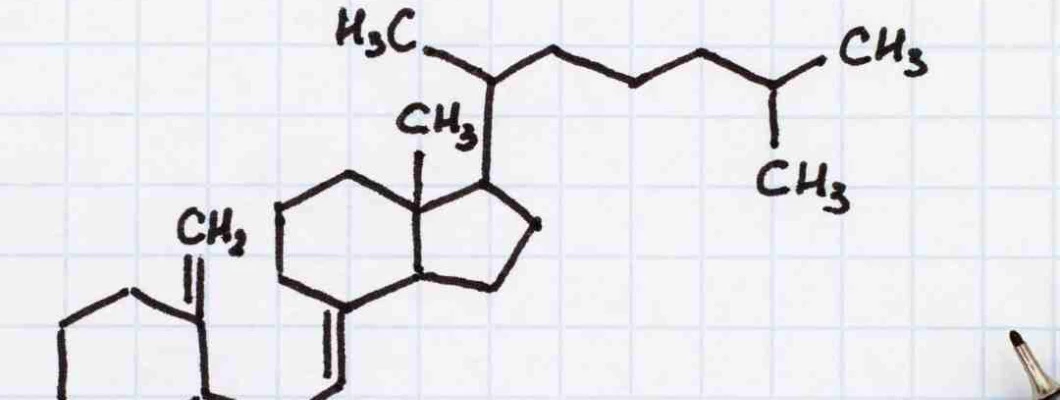 Vitamin D - sončni vitamin Vitamin D - sončni vitamin