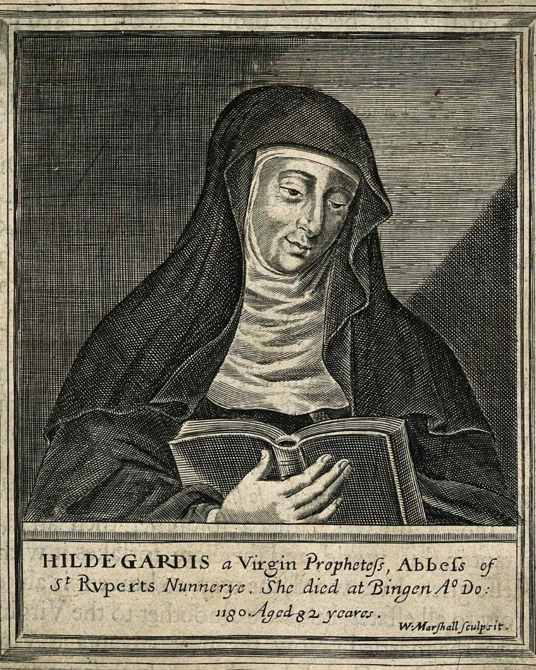 Sveta Hildegarda iz Bingna na sodobni ilustraciji, zaščitnica naravnega zdravilstva in hildegardine medicine