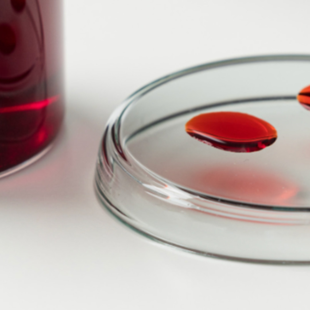 Rdeča omega-3 kapsula v petrijevki – simbol raziskav in kakovosti prehranskih dopolnil.