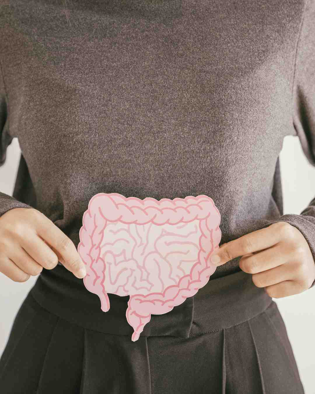 Ilustracija črevesja na trebuhu kot simbol zdravja črevesne mikrobiote in prebave.