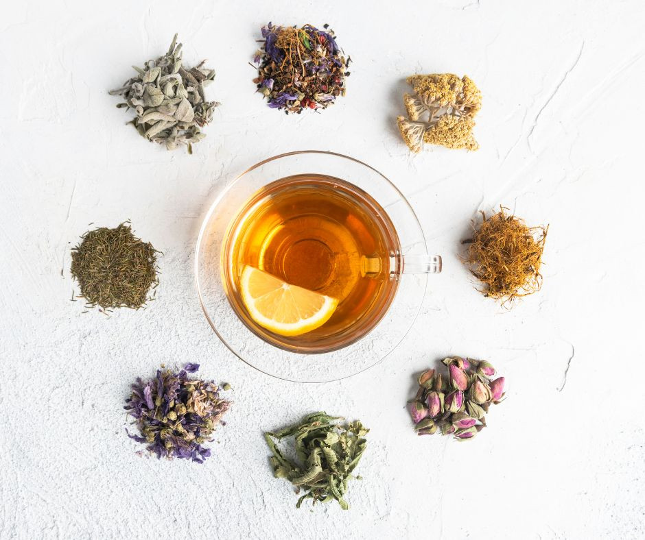 Skodelica zeliščnega čaja z rezino limone, obdana s sušenimi zelišči na belem ozadju – naravna podpora zdravju in dobremu počutju.